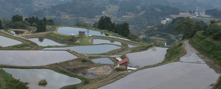 Mud ponds in Niigata